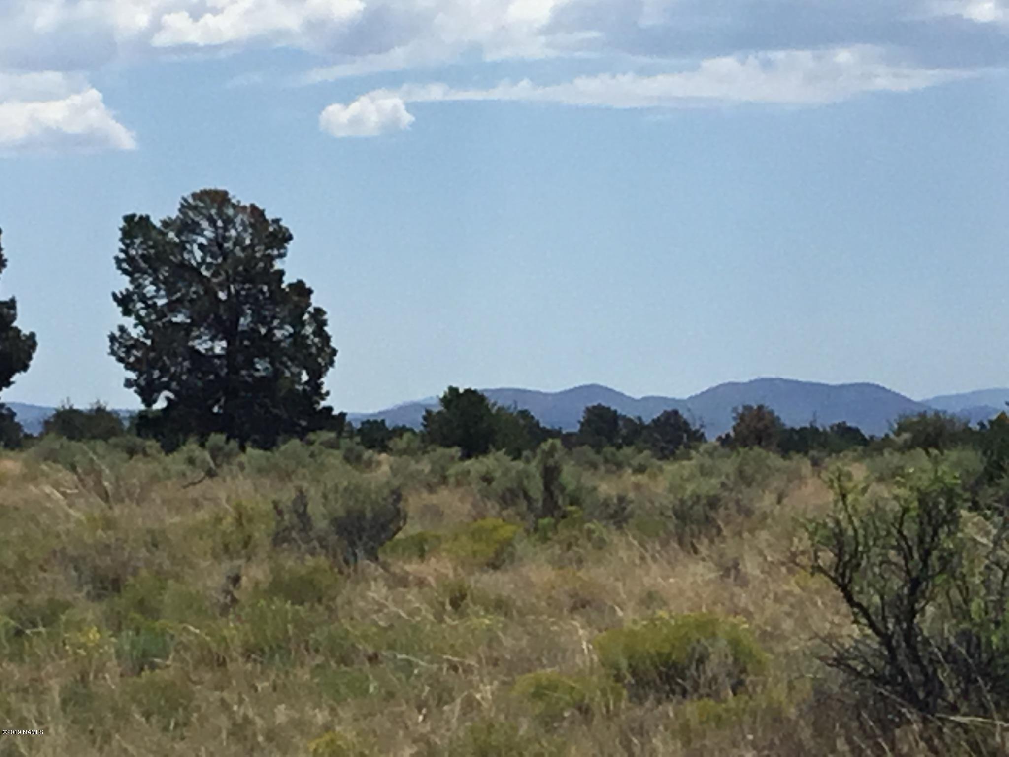 3192 North Peakview Road Williams, AZ 86046 - Photo 4 of 9 6260FF30-3F56-443F-A72B-D9A52CD5FD3E