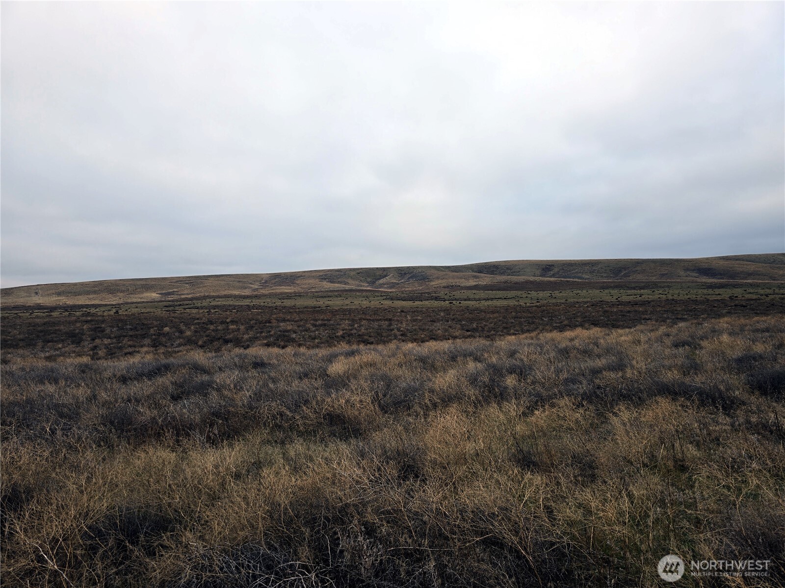 4200 Wadsworth Road Washtucna, WA 99371 - Photo 4 of 28