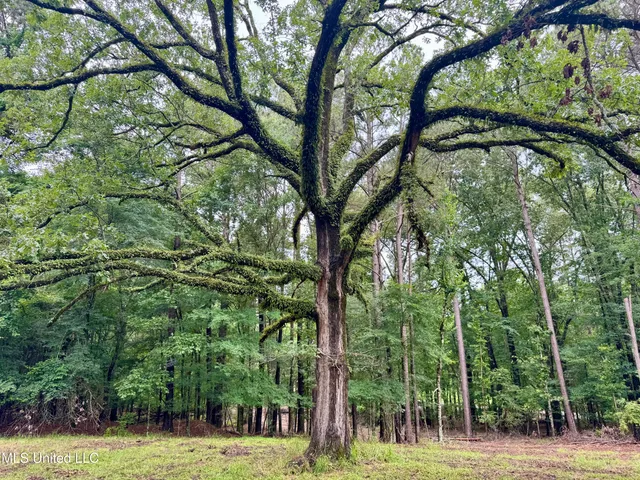 $239,000 | 493 Gus Green Road, Flora, MS 39071