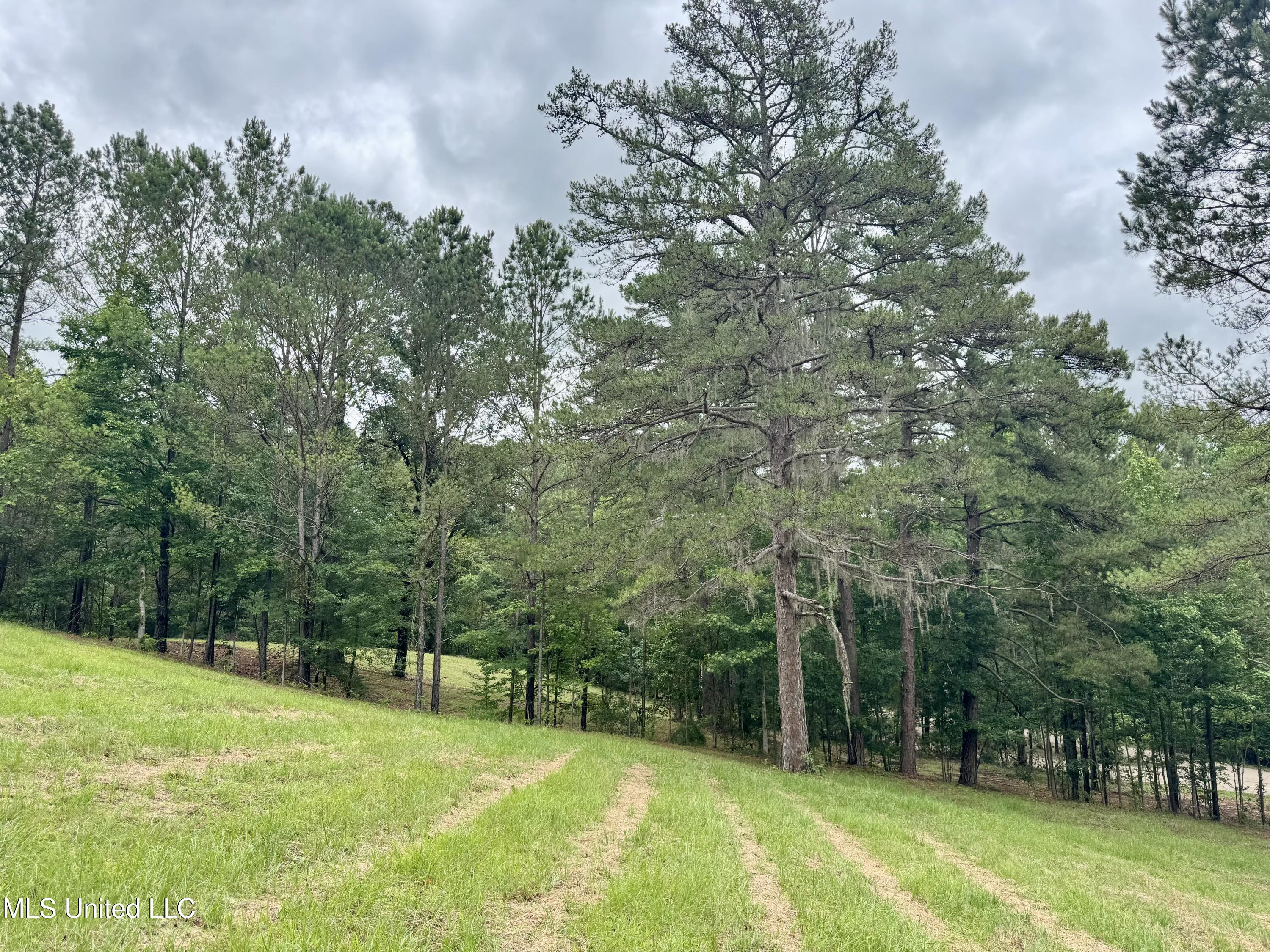 493 Gus Green Road Flora, MS 39071 - Photo 11 of 20 IMG_9014