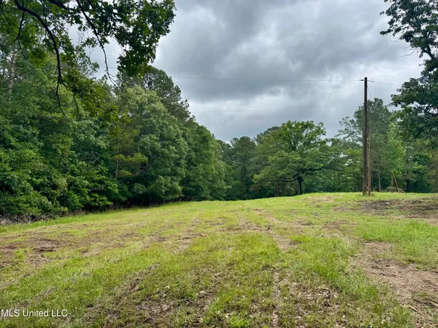 $239,000 | 493 Gus Green Road, Flora, MS 39071