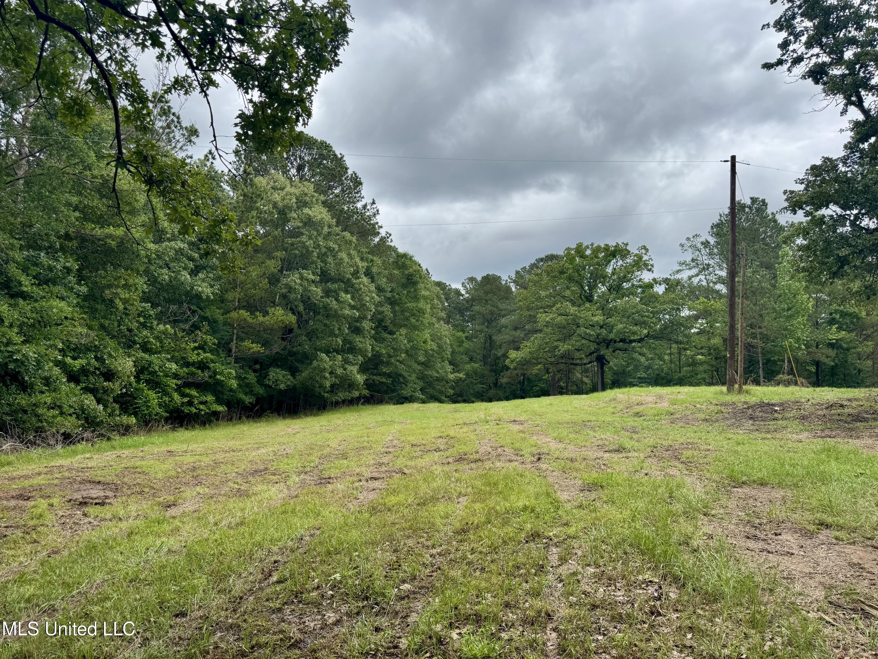 493 Gus Green Road Flora, MS 39071 - Photo 12 of 20 IMG_9018