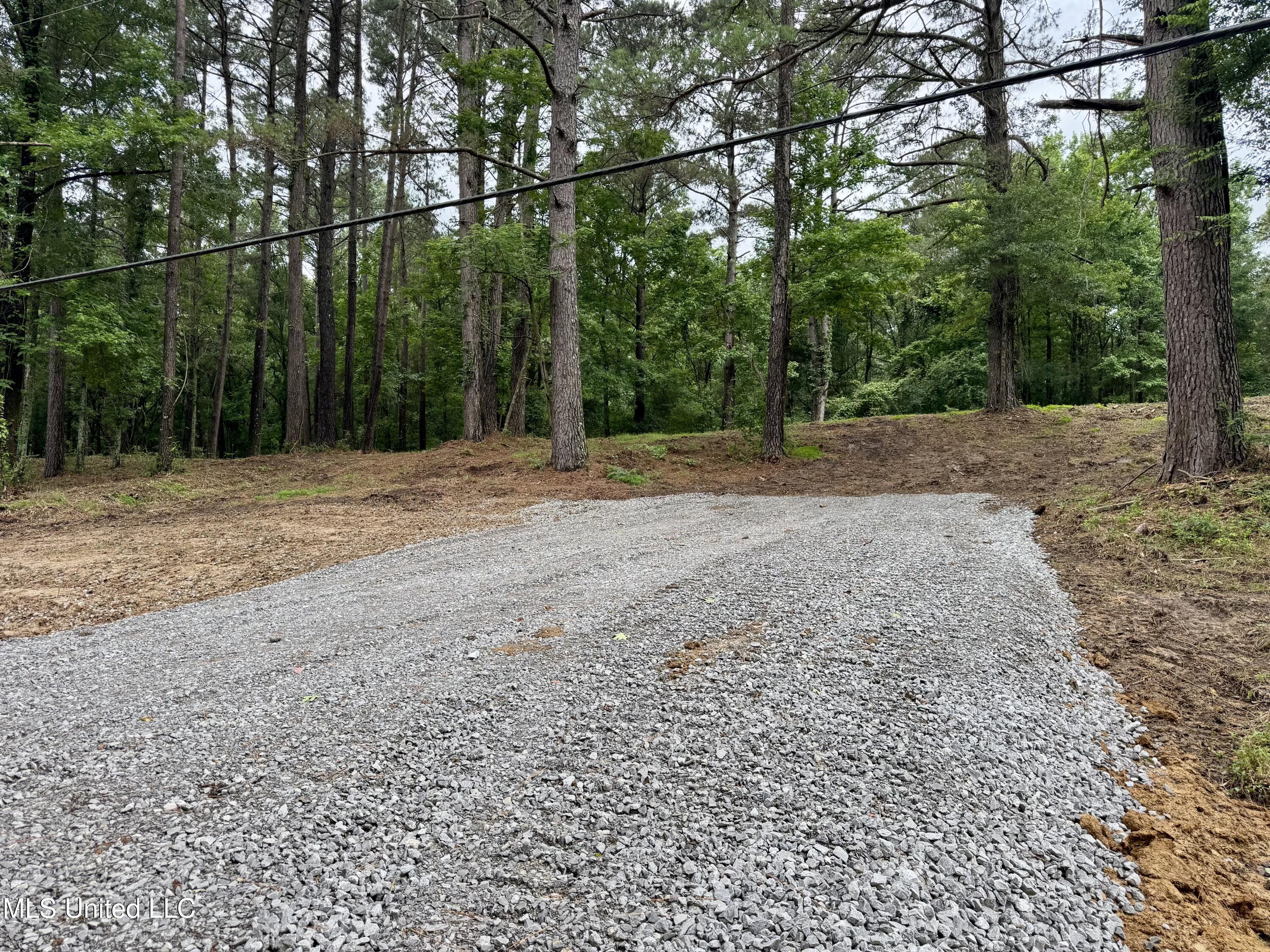 493 Gus Green Road Flora, MS 39071 - Photo 13 of 20 IMG_9022