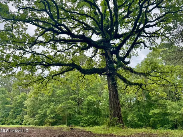 $239,000 | 493 Gus Green Road, Flora, MS 39071