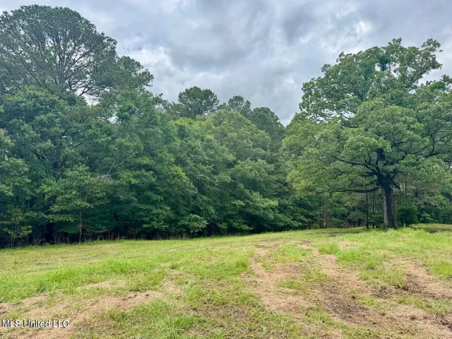 $239,000 | 493 Gus Green Road, Flora, MS 39071