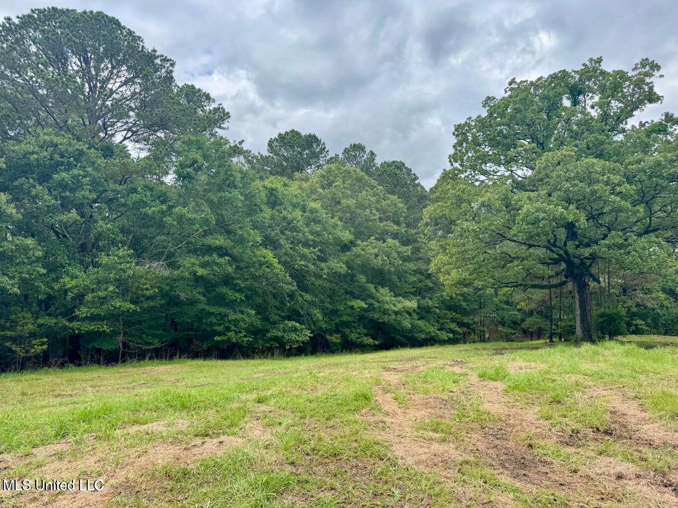 493 Gus Green Road Flora, MS 39071 - Photo 18 of 20 20250528122146190723000000-o