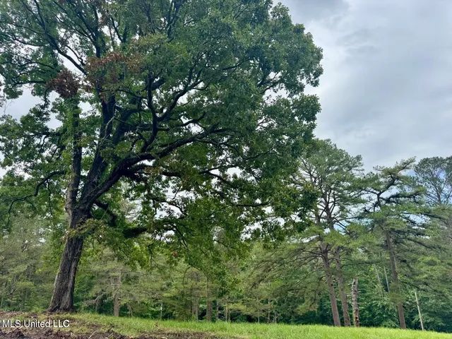 $239,000 | 493 Gus Green Road, Flora, MS 39071