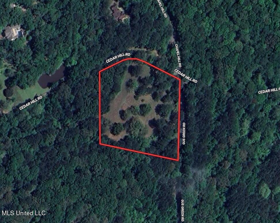493 Gus Green Road Flora, MS 39071 - Photo 2 of 20 Untitled