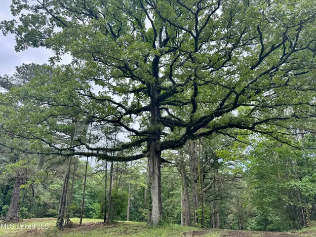 $239,000 | 493 Gus Green Road, Flora, MS 39071
