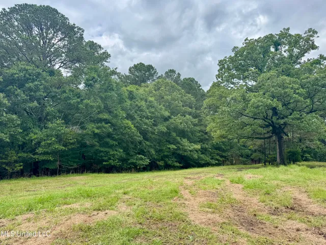 $239,000 | 493 Gus Green Road, Flora, MS 39071
