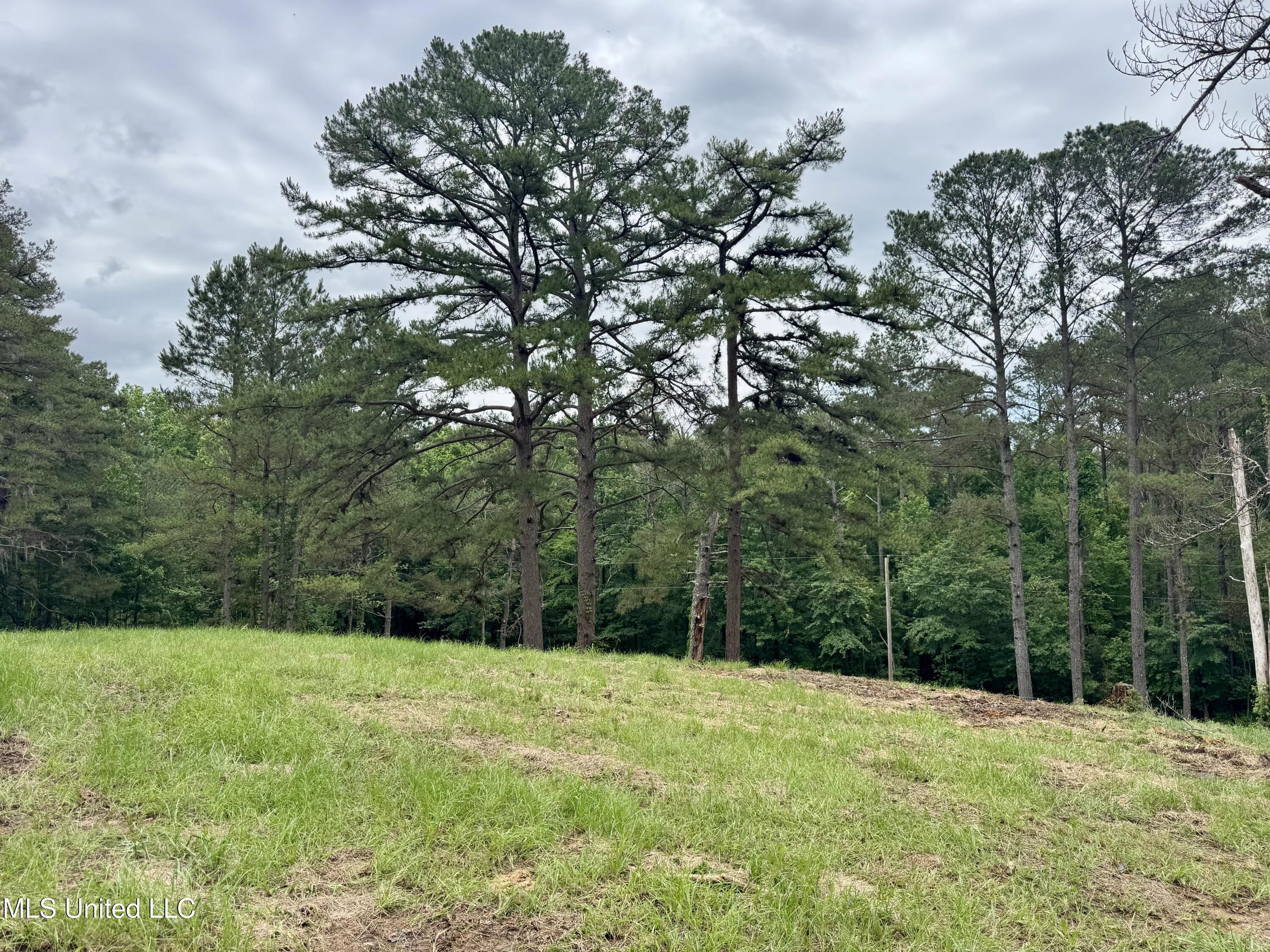 493 Gus Green Road Flora, MS 39071 - Photo 9 of 20 IMG_9012