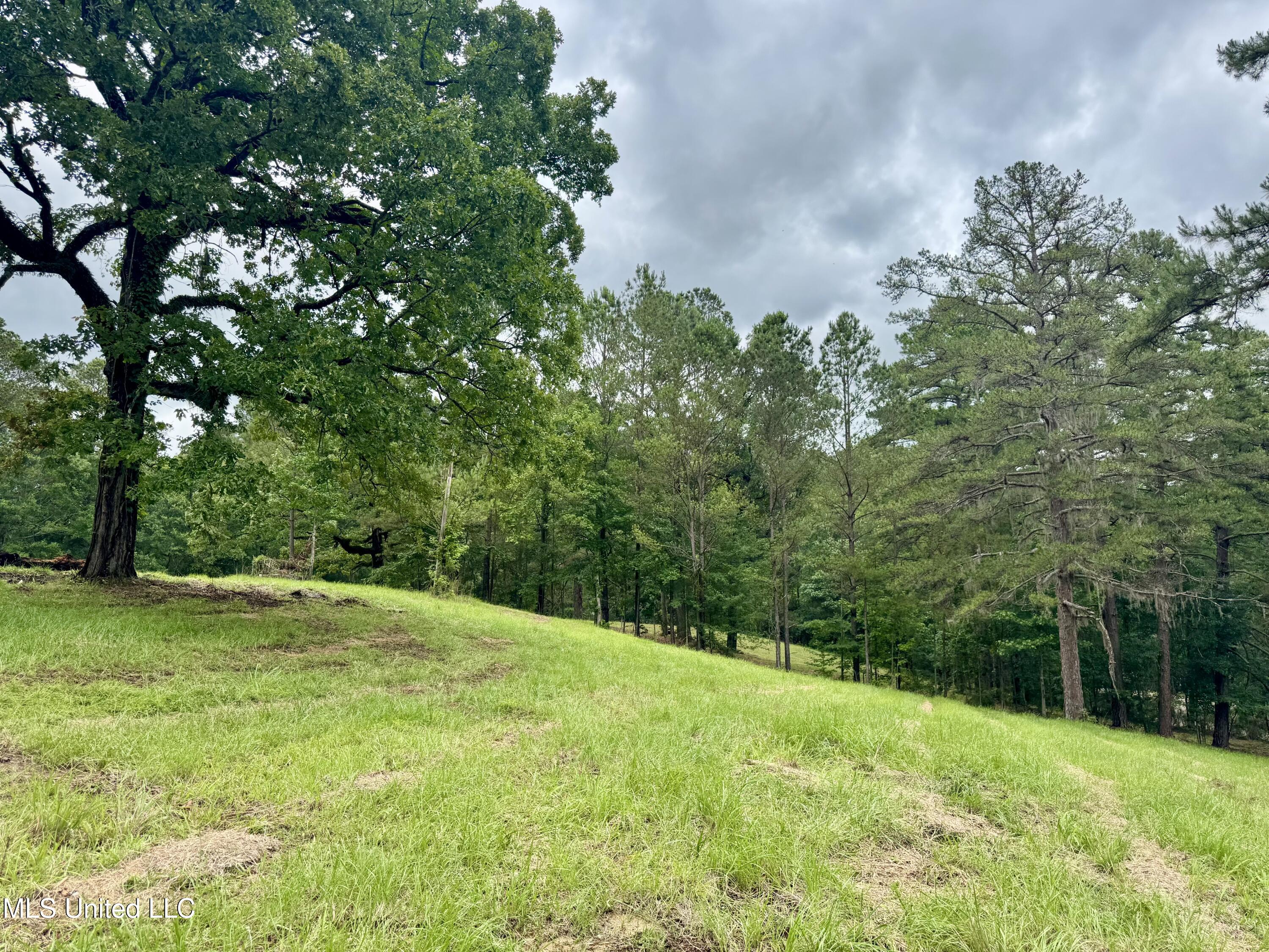 493 Gus Green Road Flora, MS 39071 - Photo 10 of 20 IMG_9013