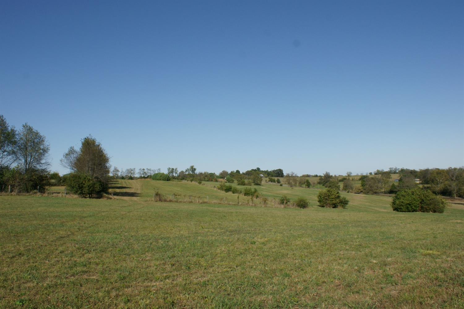 475 Grimes Mill Road Lexington, KY 40515 - Photo 7 of 11 Photo 7