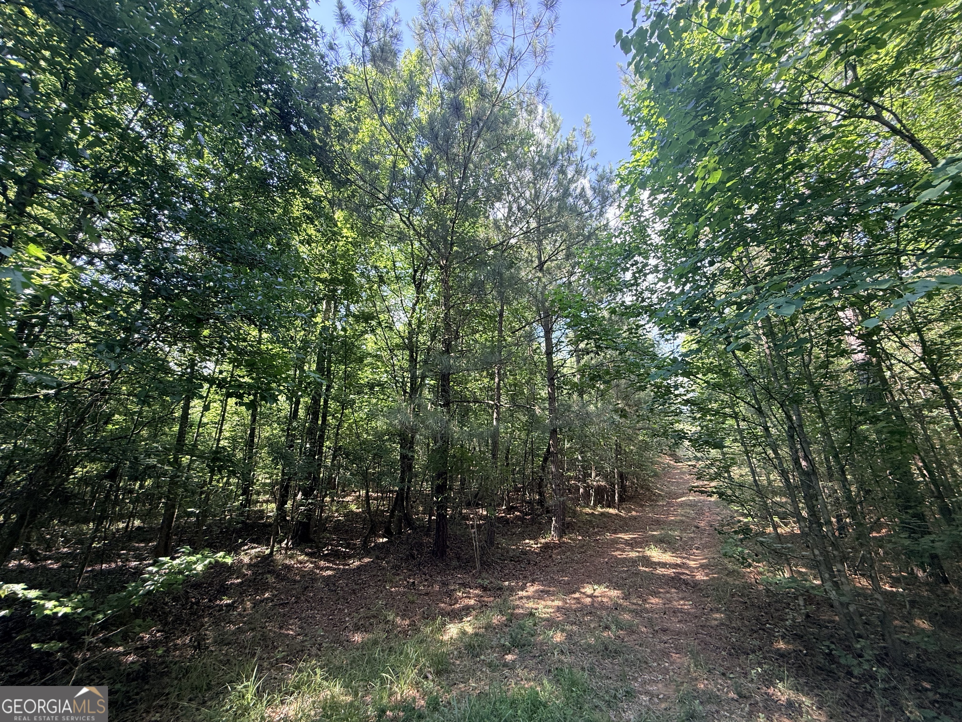 2 Bethesda Church Road Lexington, GA 30648 - Photo 39 of 66