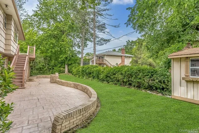 a view of a backyard with plants and large trees