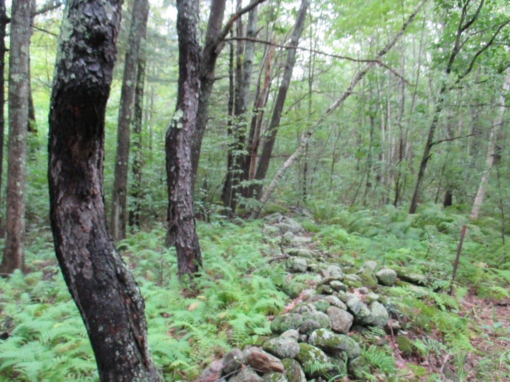 Lot 2 Otter River Road Templeton, MA 01468 - Photo 4 of 8 Gallery Image 4