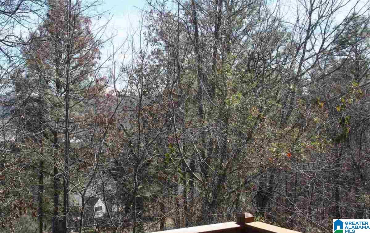 3031 Eagle Ridge Lane Birmingham, AL 35242 - Photo 2 of 23