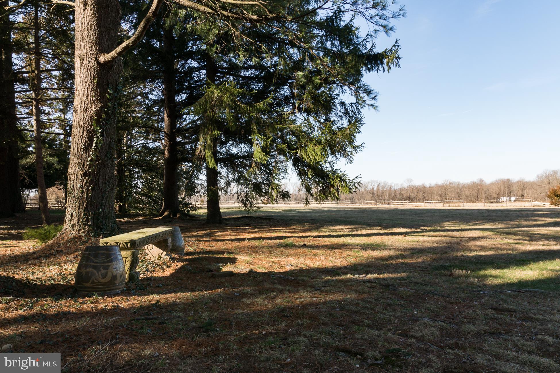 49 Fackler Road Lawrence Township, NJ 08648 - Photo 15 of 17 Gallery Image 15