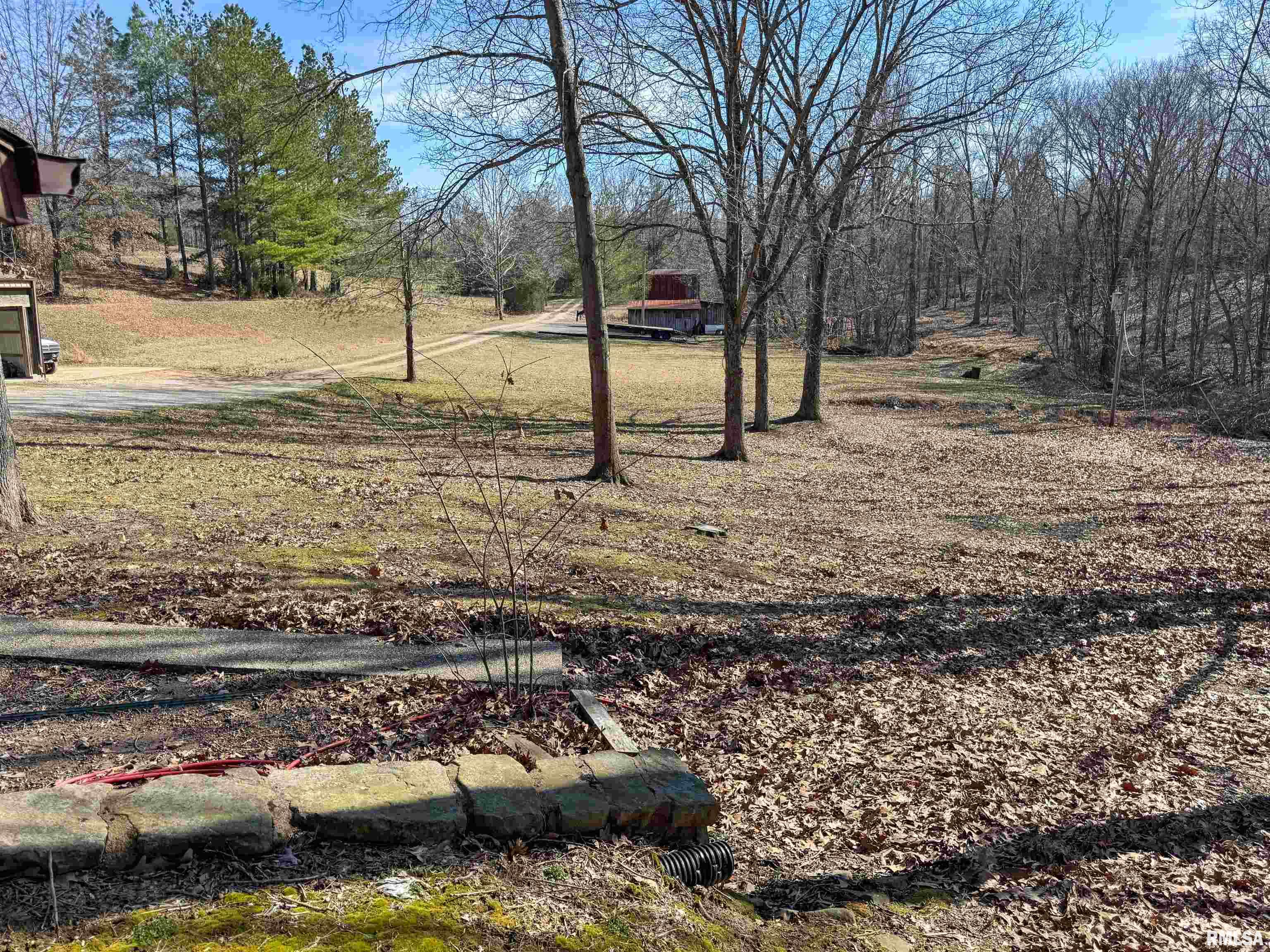 780 Mountain Glen Road Cobden, IL 62920 - Photo 15 of 34