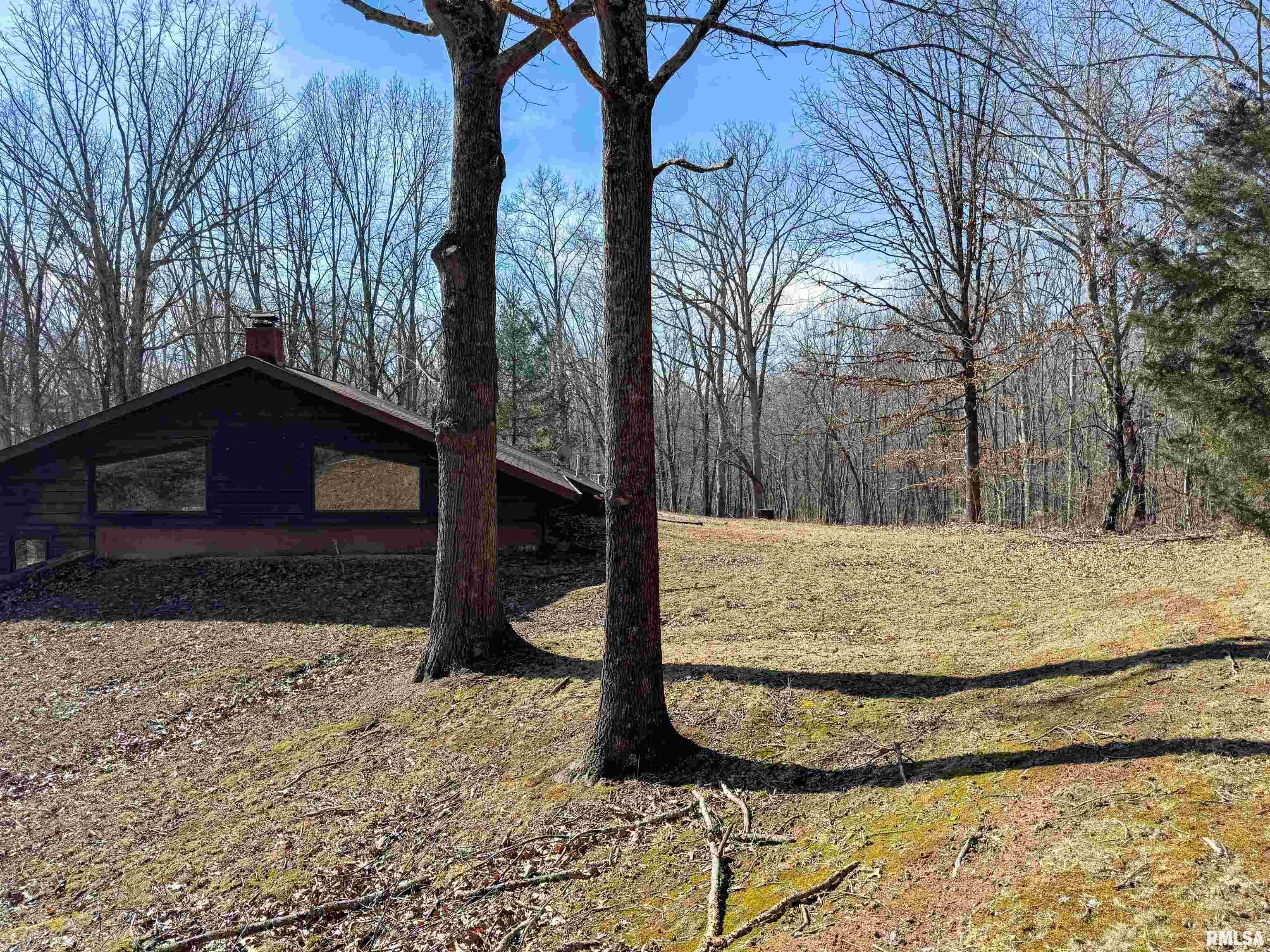 780 Mountain Glen Road Cobden, IL 62920 - Photo 16 of 34