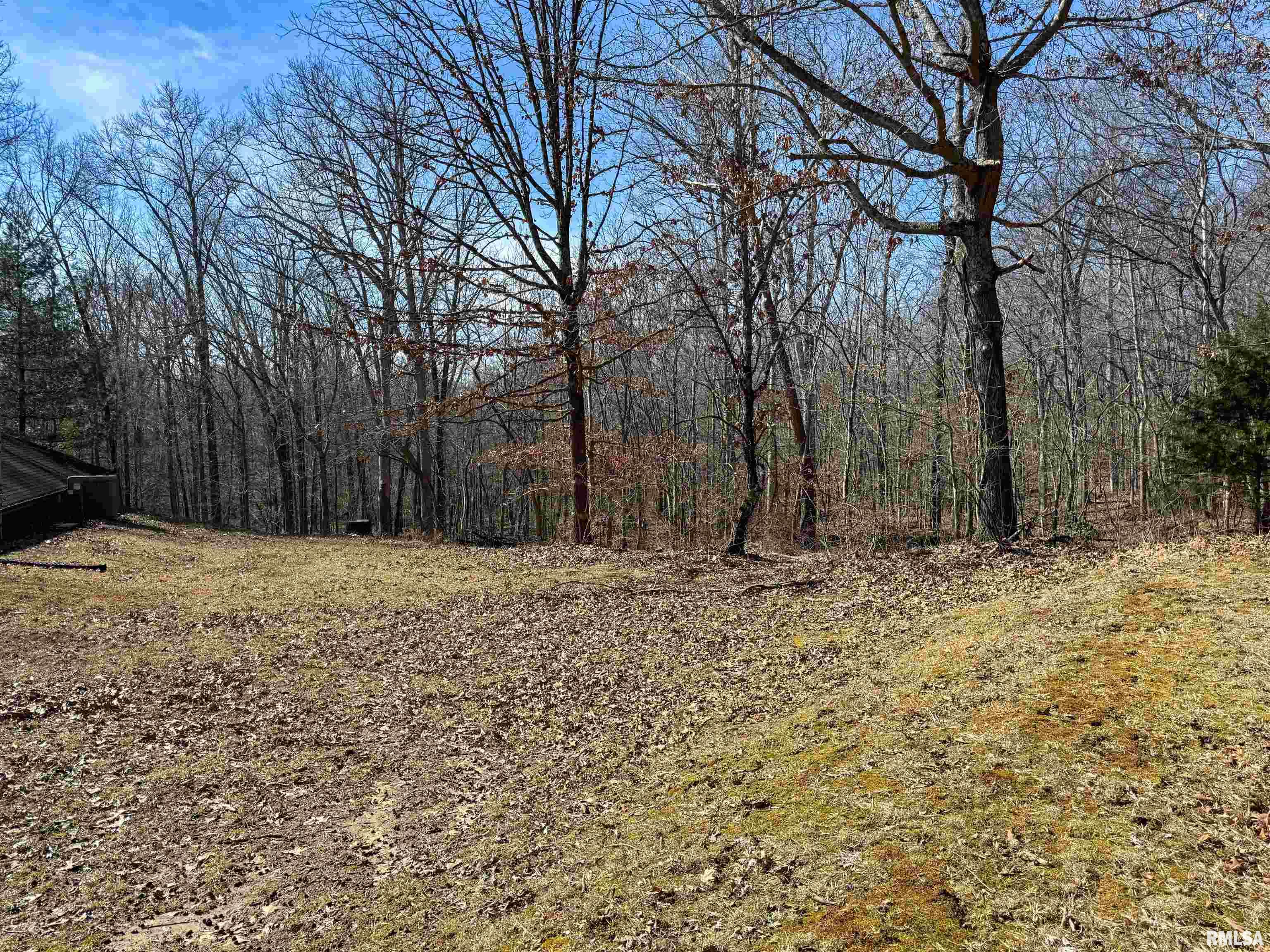 780 Mountain Glen Road Cobden, IL 62920 - Photo 18 of 34