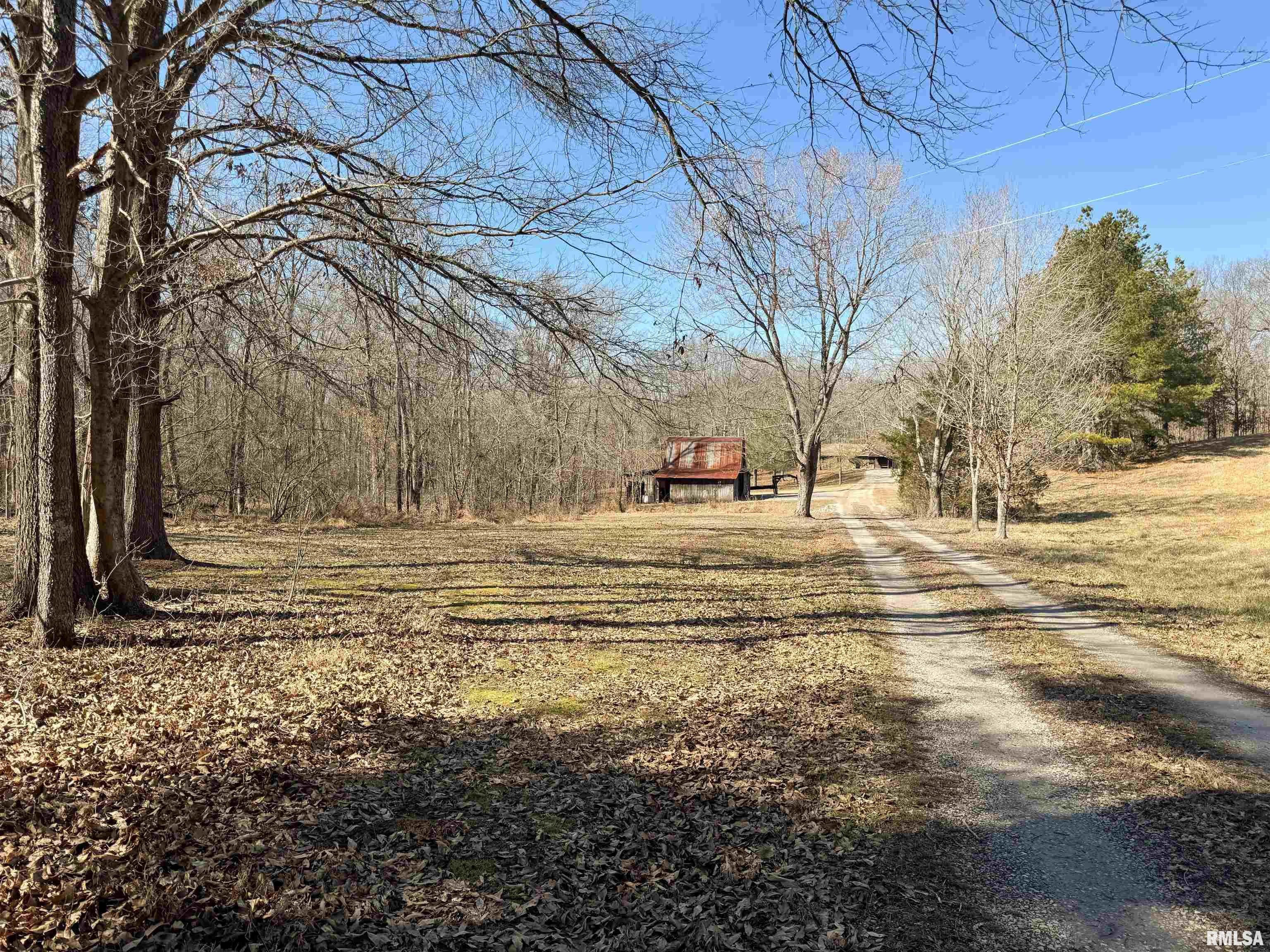 780 Mountain Glen Road Cobden, IL 62920 - Photo 6 of 34
