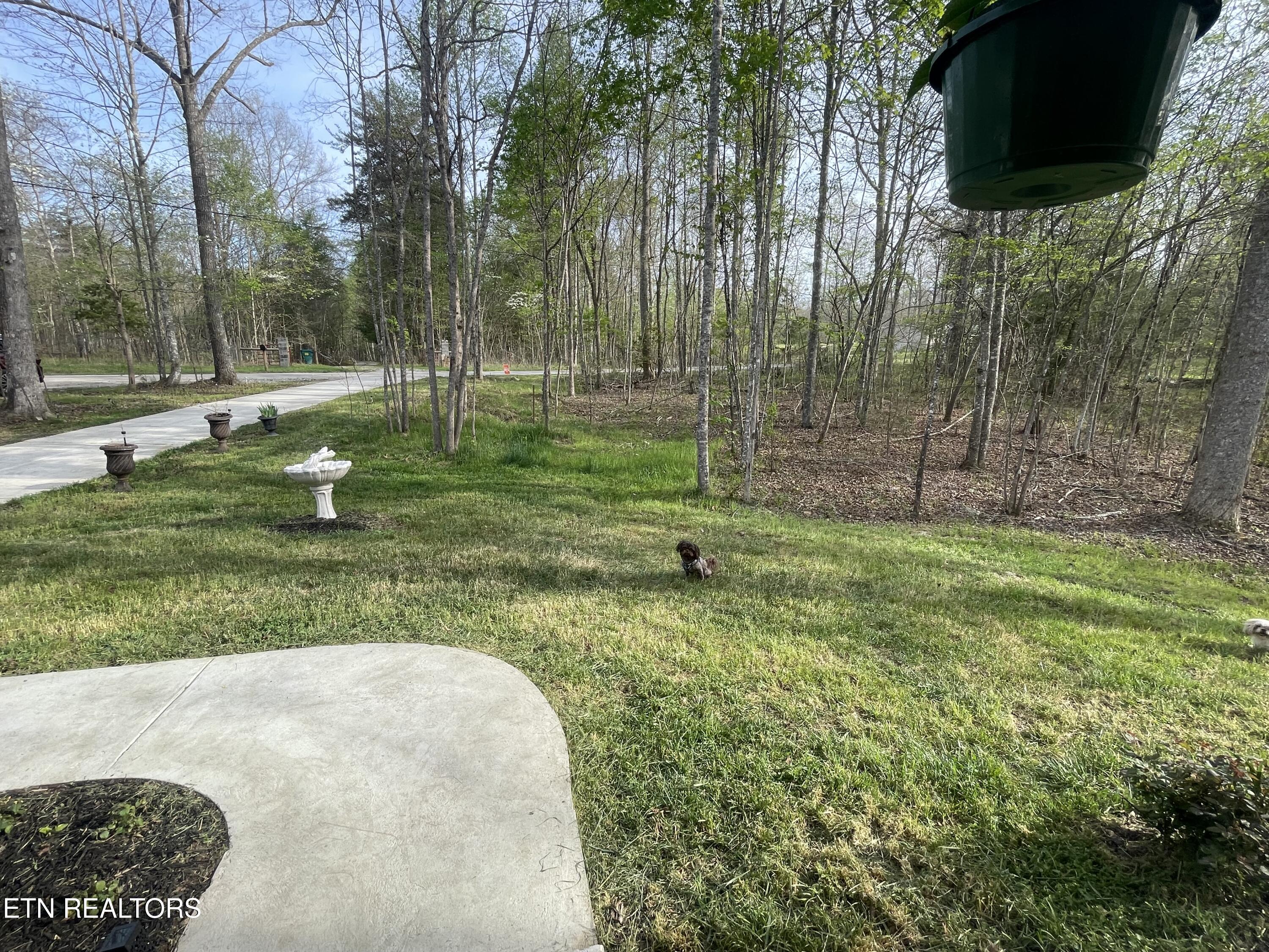 359 Youngs Ford Road Jamestown, TN 38556 - Photo 26 of 31 IMG_9538