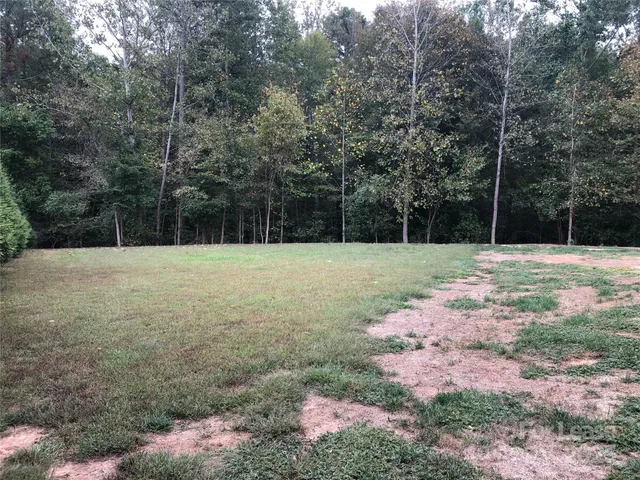 a street view with yard