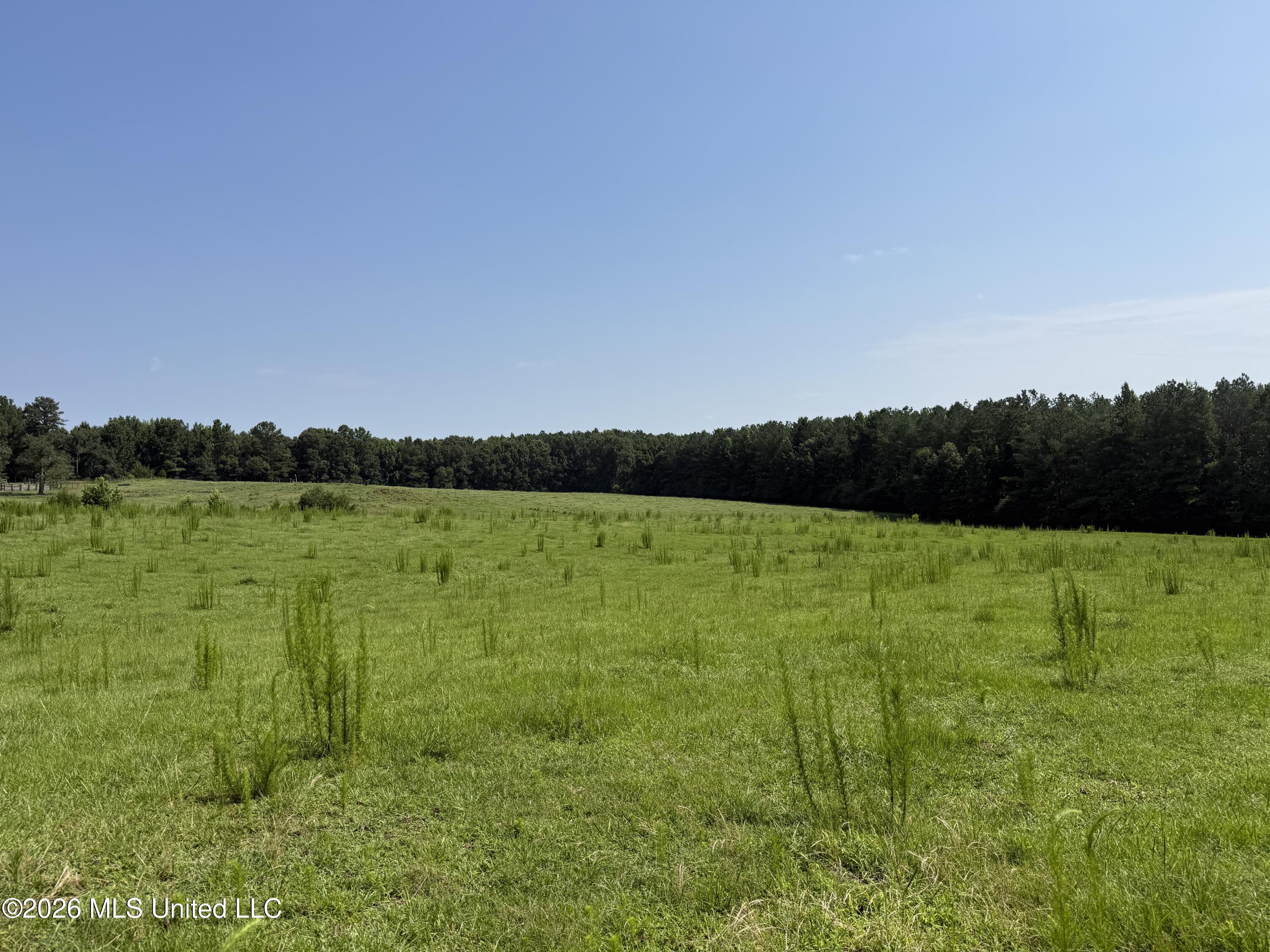 Monte Vista Road Eupora, MS 39744 - Photo 26 of 54 IMG_6425
