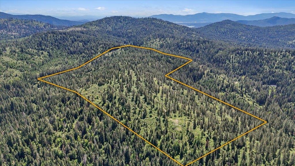 18-xxx East Miner Road Mead, WA 99021 - Photo 7 of 40
