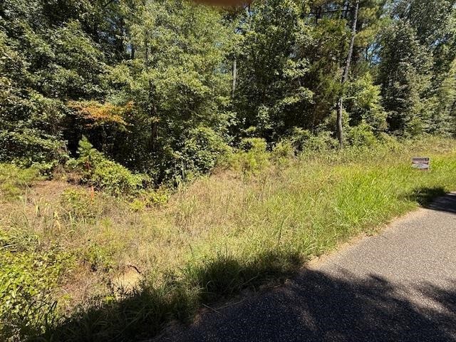 0 Track 2 Kendrick/gin Road Michie, TN 38357 - Photo 6 of 9 Gallery Image 6