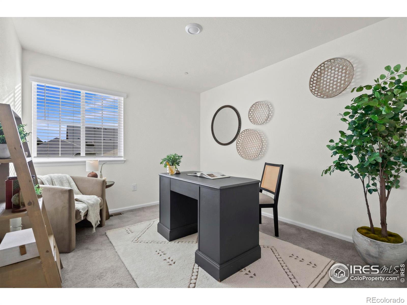 216 Zeppelin Way Fort Collins, CO 80524 - Photo 18 of 25