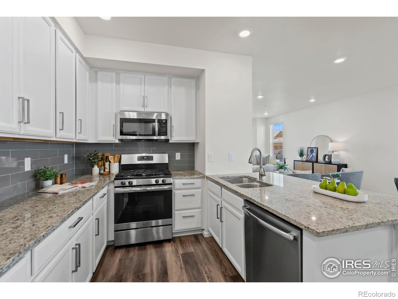 216 Zeppelin Way Fort Collins, CO 80524 - Photo 9 of 25