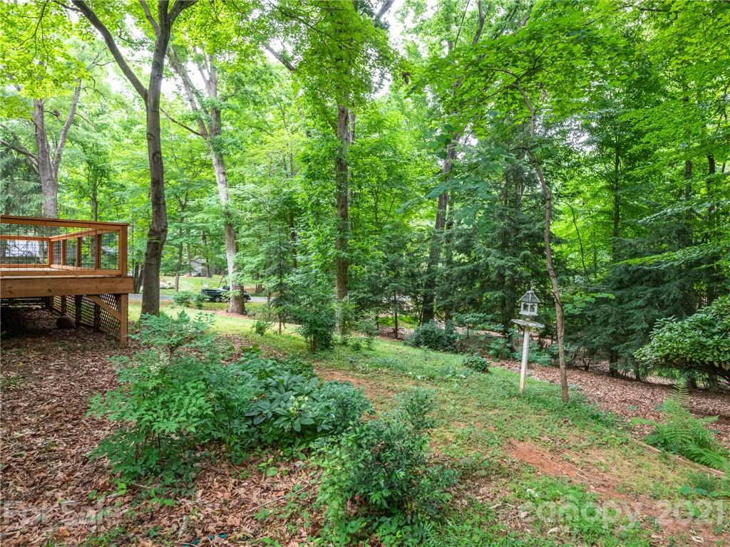 925 Reverdy Lane Matthews, NC 28105 - Photo 32 of 36 a view of backyard with trees