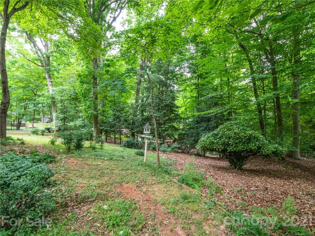 925 Reverdy Lane Matthews, NC 28105 - Photo 33 of 36 a view of a lush green forest
