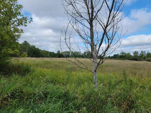 $250,000 | Xxx 10th Street Northwest, Pine City, MN 55063