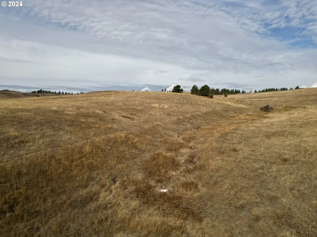 a view of an ocean beach