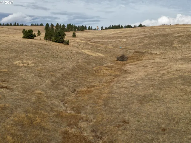 a view of a field with an ocean view