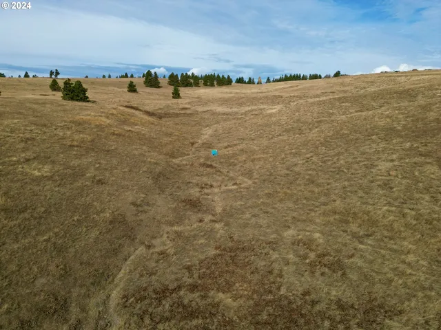 a view of an outdoor space and a lake view