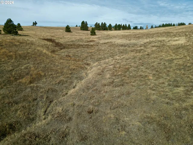 a view of ocean and mountain