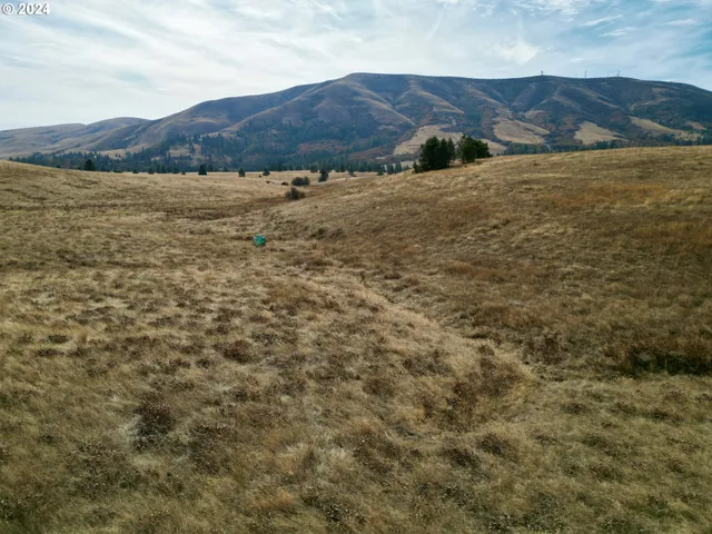 a view of lake and mountain