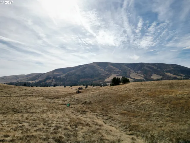 a view of a lake with mountains in the background
