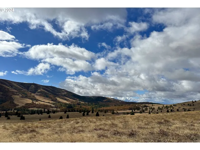 a view of outdoor space and mountain