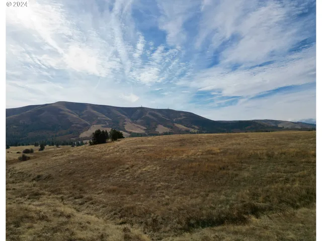 a view of lake and mountain