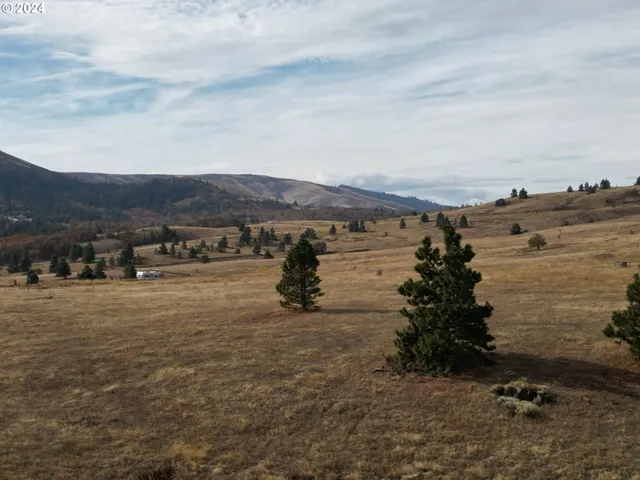a view of beach and ocean