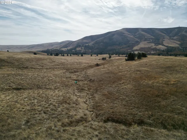 a view of an ocean beach