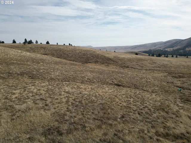 a view of an ocean beach