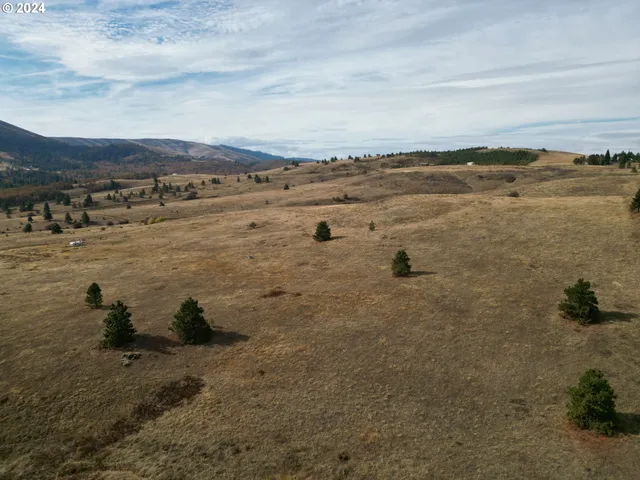 a black and white photo of a house