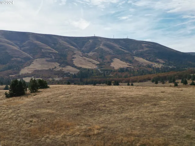 a view of a dry yard with mountain and mountain view