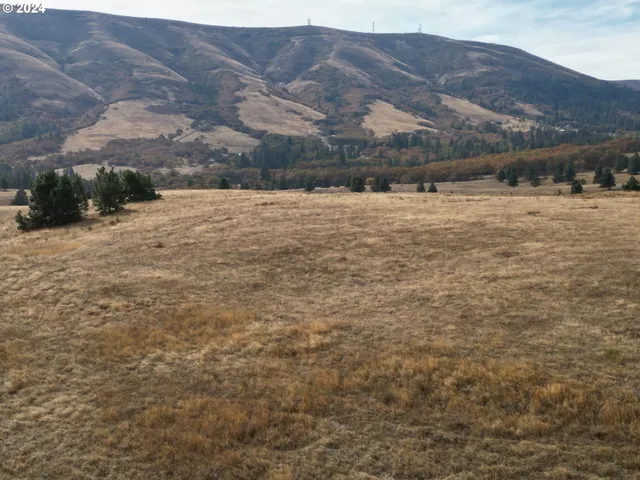 a view of a town with mountains in the background